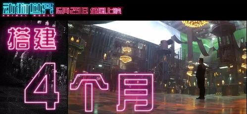 最新国产福利视频,展现中国影视新风采